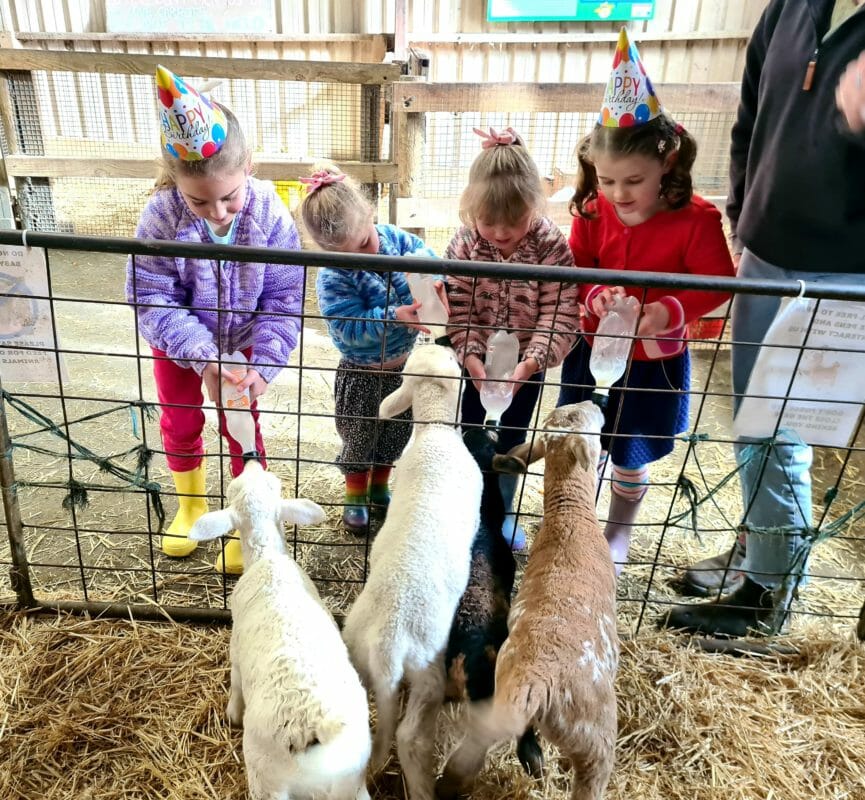 Birthday Parties at The Hahndorf Farm Barn