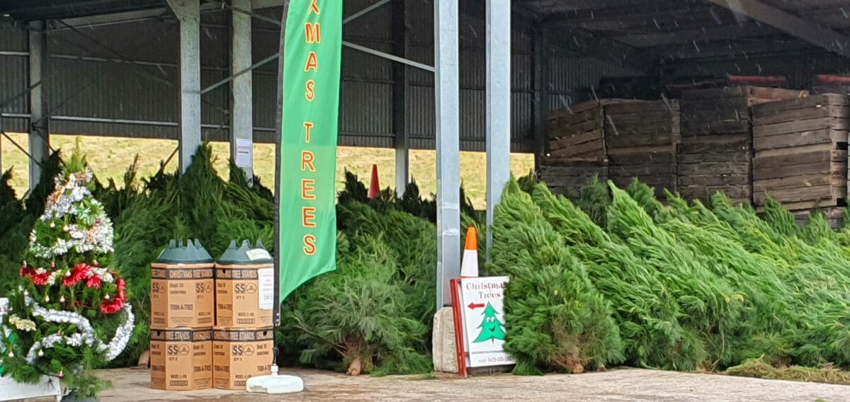 Christmas in Adelaide Kids In Adelaide Activities, Events & Things to do in Adelaide with Kids