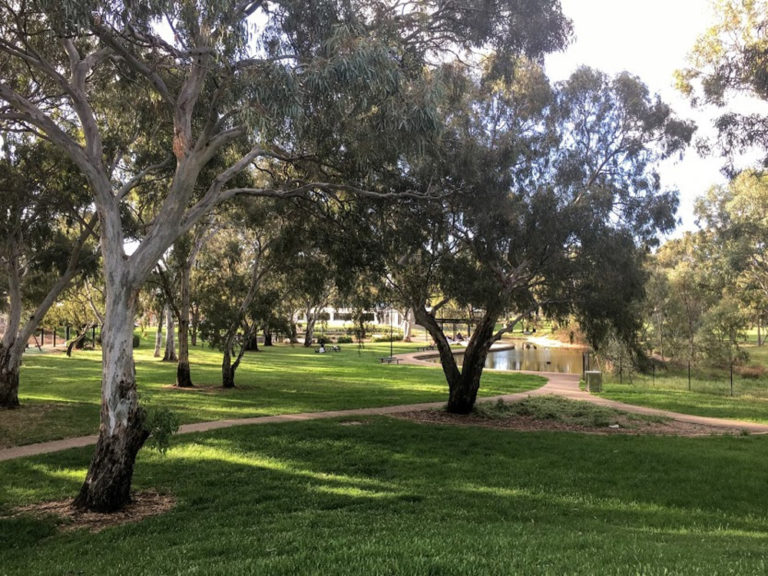 Regency Skate Park Kids In Adelaide Activities, Events & Things to do in Adelaide with Kids