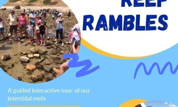 Guided Reef Ramble (walk) – Hallett Cove