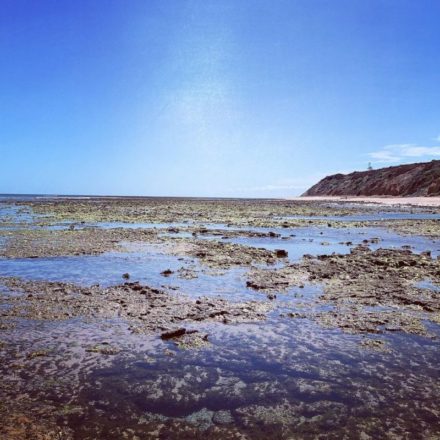 Rock Pools to Explore in South Australia | Kids In Adelaide ...