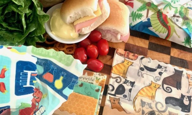 Our Favourite Lunchboxes & Accessories