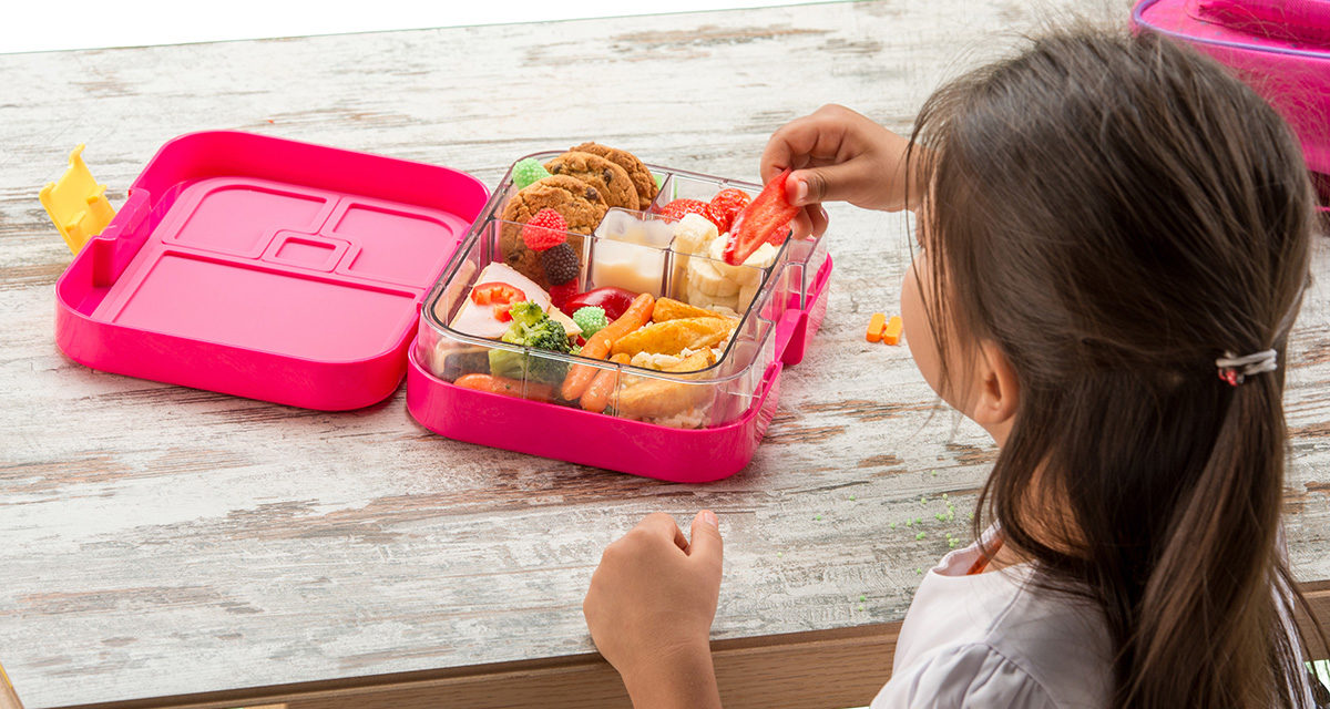 Build a Gut Friendly Lunchbox