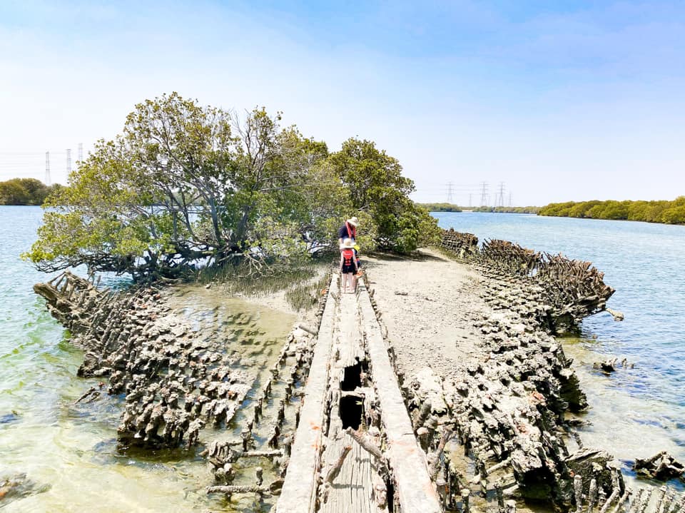 Kayaking with Kids Our top spots in S.A Kids In Adelaide