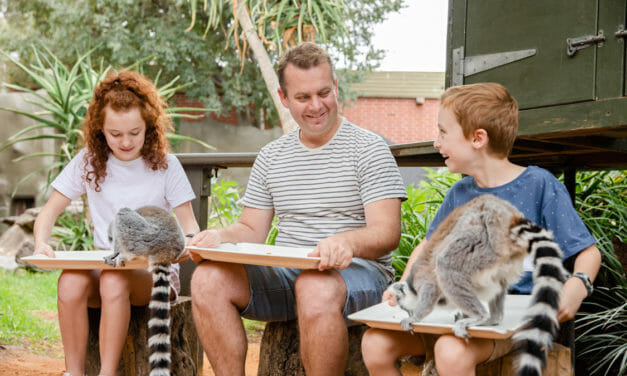 Animal Experiences at Adelaide Zoo