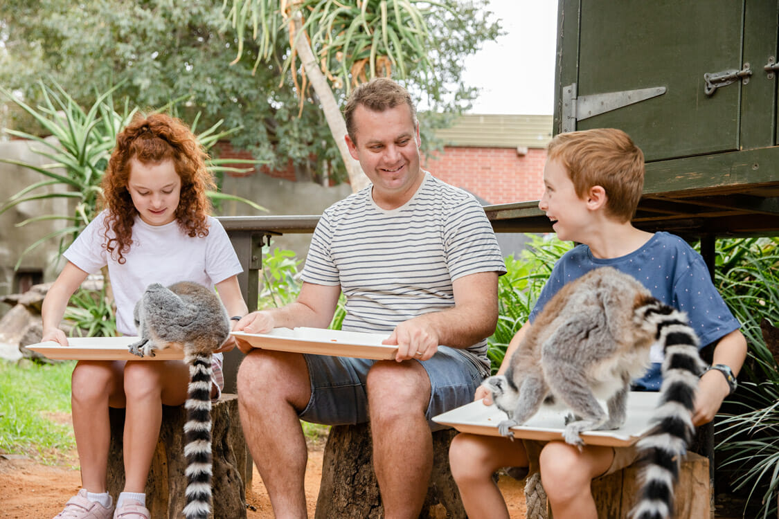 Animal Experiences at Adelaide Zoo | Kids In Adelaide | Activities, Events  & Things to do in Adelaide with Kids