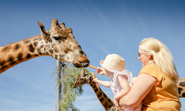 Animal Experiences at Monarto Safari Park