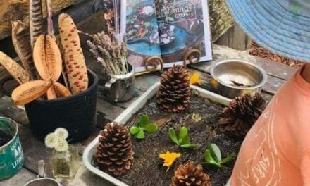 Nature Play Ideas for Home