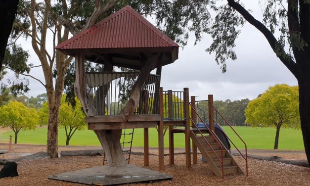Spring Crescent Playground Banksia Park