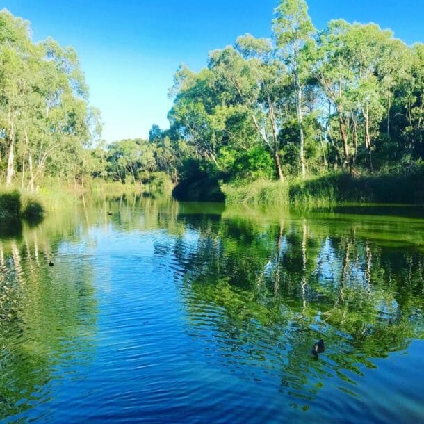 Warriparinga Wetlands | Kids In Adelaide | Activities, Events & Things ...