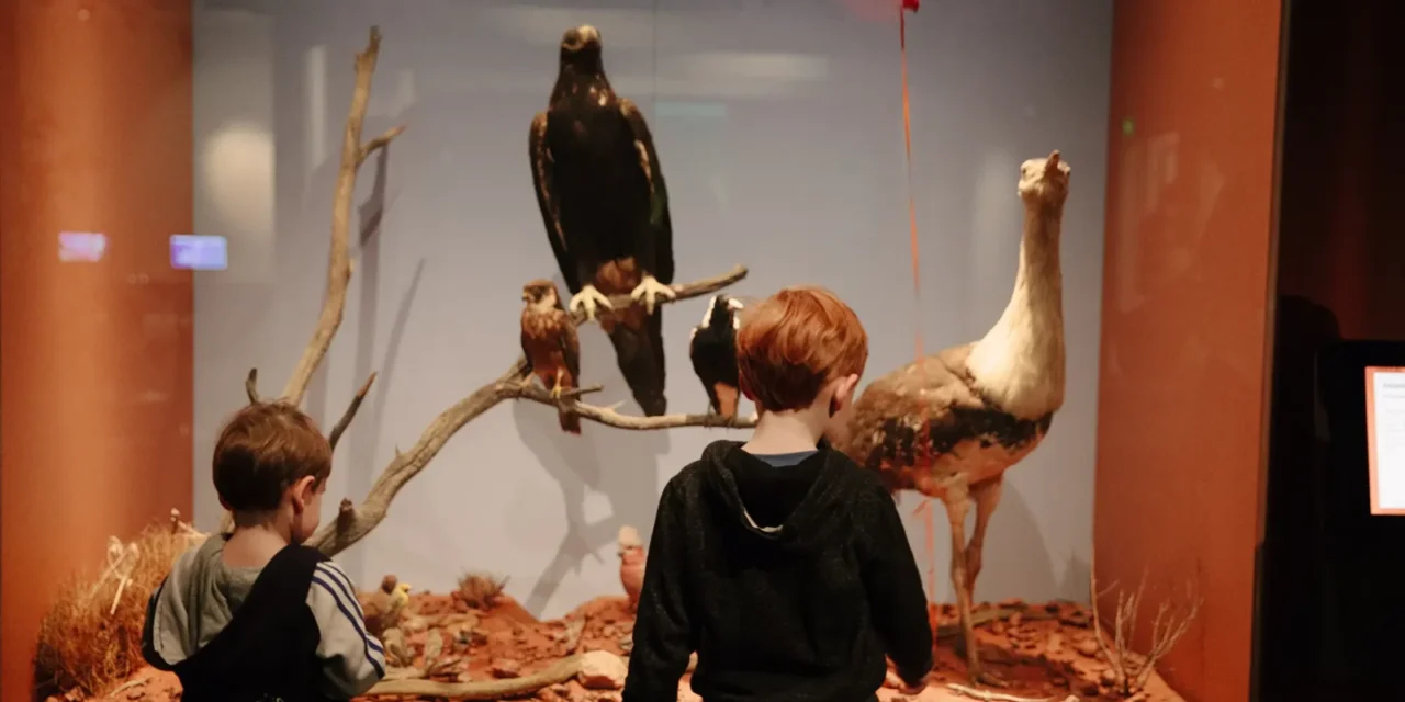 South Australian Museum