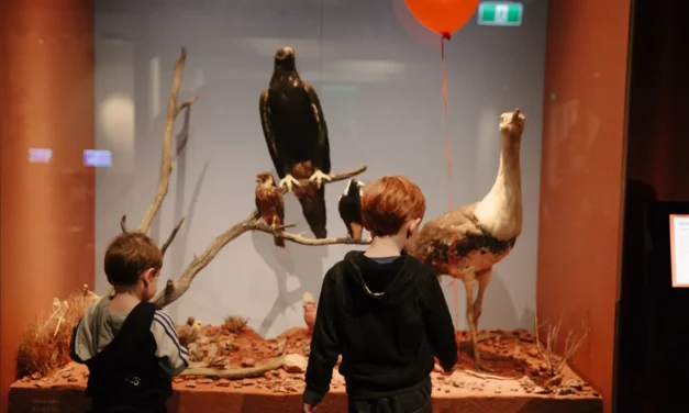 South Australian Museum