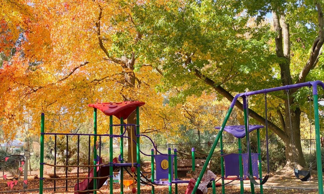 Meadows Playground