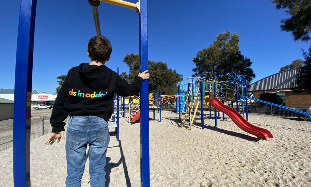 Minlaton Playground
