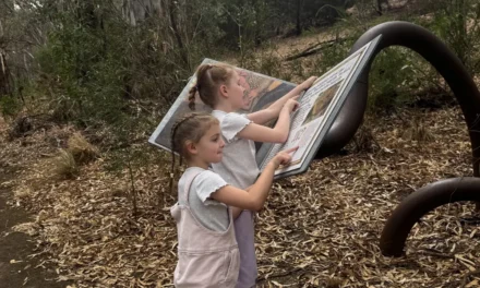 Bunyip Children’s Trail, Bonython Park