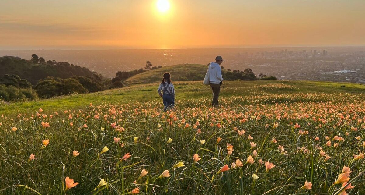 Family Bushwalking Adventures in Adelaide