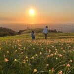 Family Bushwalking Adventures in Adelaide