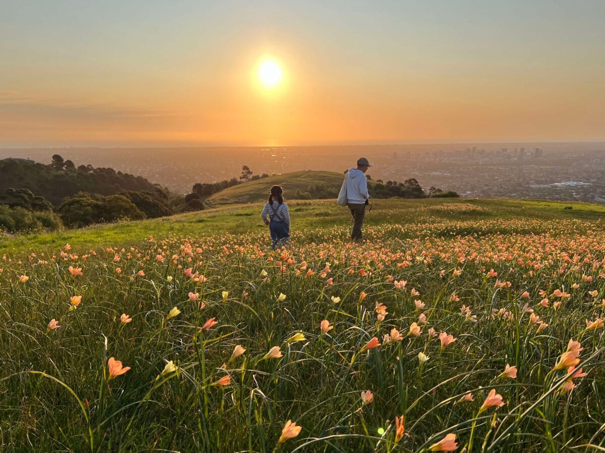 Family Bushwalking Adventures in Adelaide