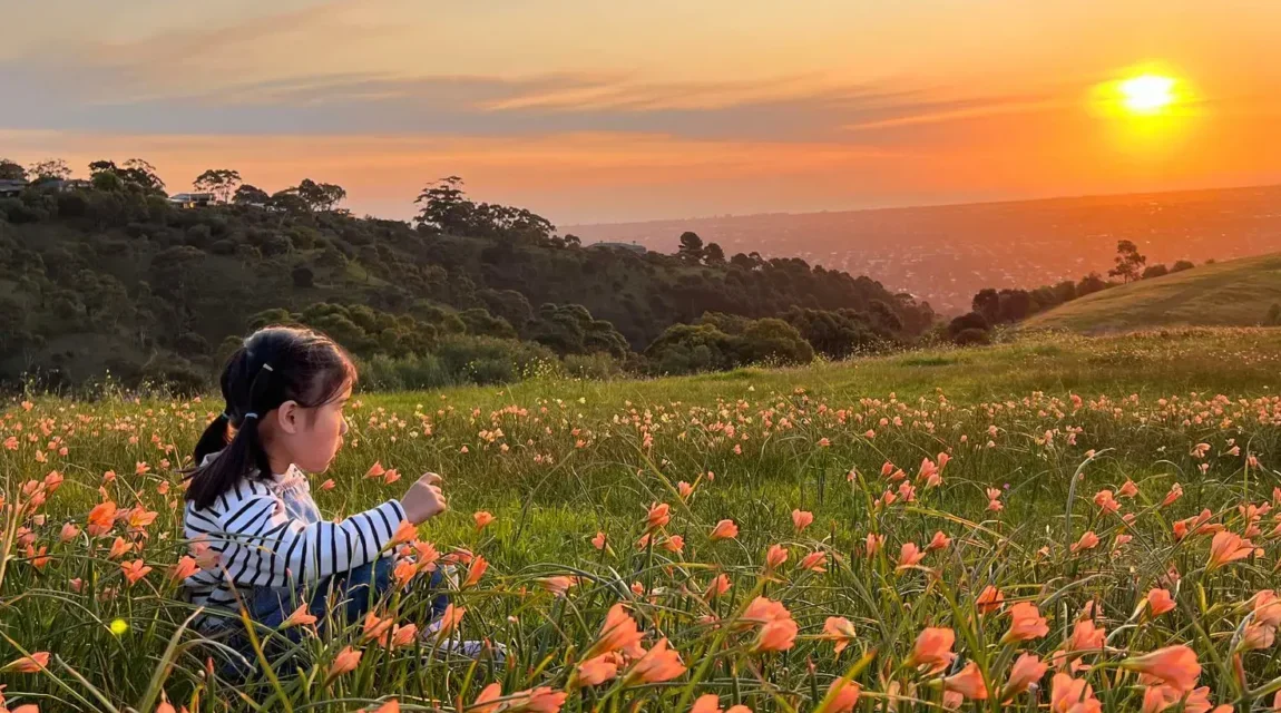 October Long Weekend in Adelaide