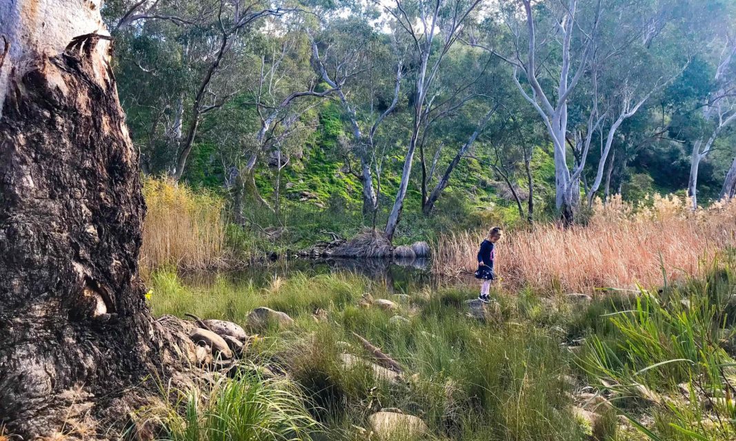 Onkaparinga River Recreation Park & National Park