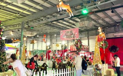 Santa’s Wonderland | Kids in Adelaide Review