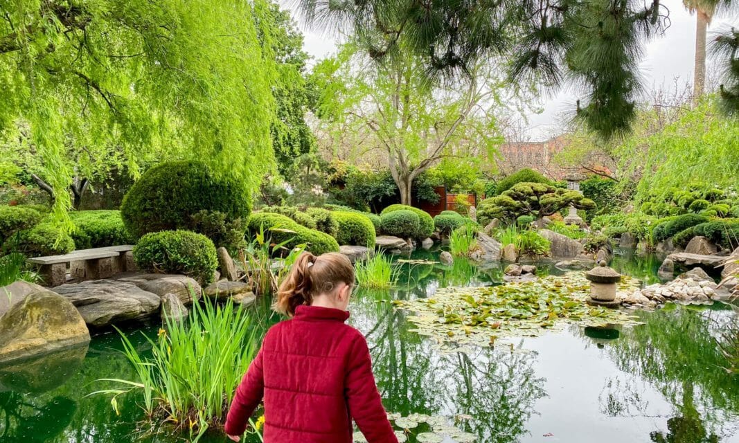 Japanese Himeji Gardens – South Terrace, Adelaide