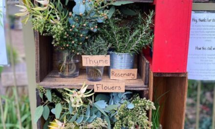 Adelaide’s Roadside Produce Stalls