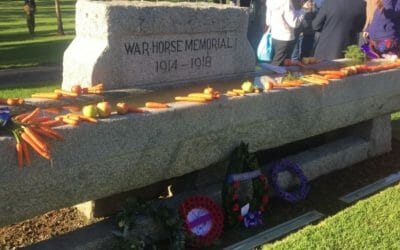ANZAC Day for Adelaide families at the Light Horse Memorial