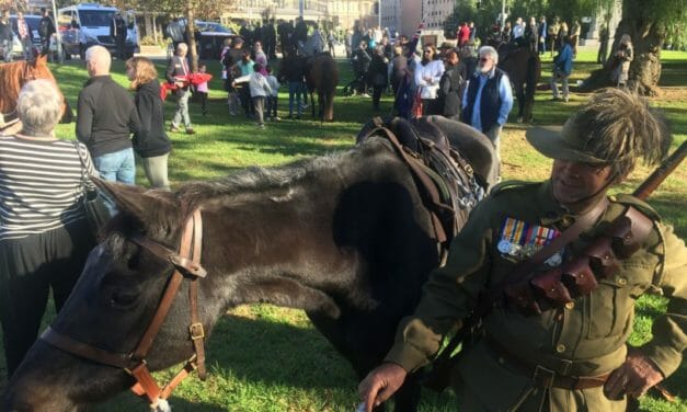 ANZAC Day for Adelaide families at the Light Horse Memorial