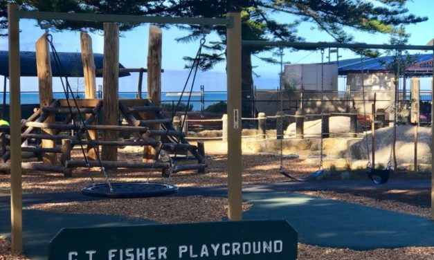 GT Fisher Nature Playground