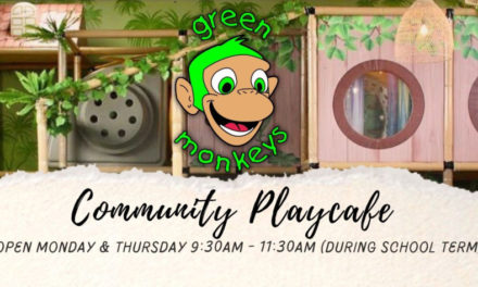 Green Monkeys Community Play Cafe