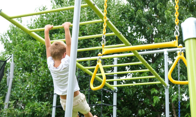 Funky Monkey Bars® Are Not Cheap!