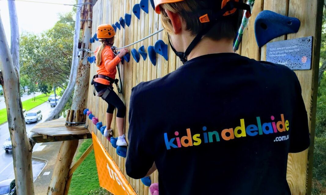 TreeClimb Adelaide Australia's first innercity Aerial Adventure Park