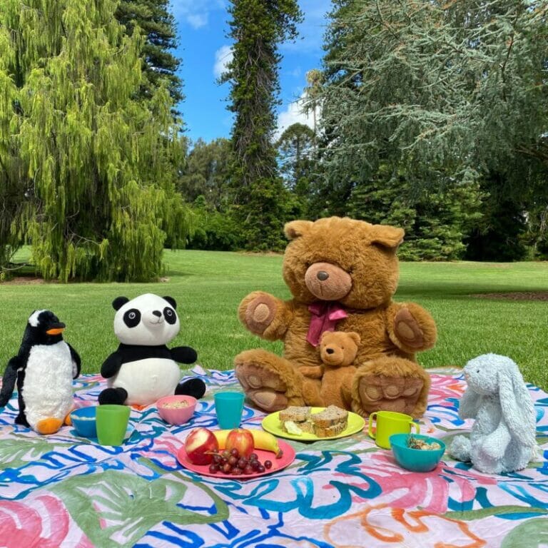 Teddy Bears' Picnic with the SA Police Band Kids In Adelaide