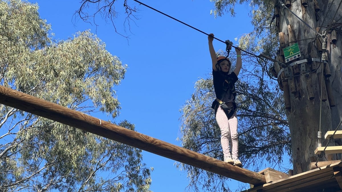 TreeClimb Adelaide Australia's first innercity Aerial Adventure Park