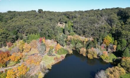 Mount Lofty Botanic Gardens