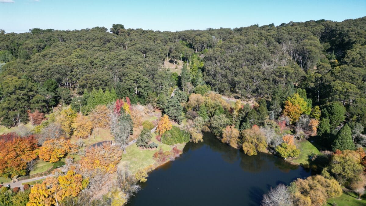 Mount Lofty Botanic Gardens