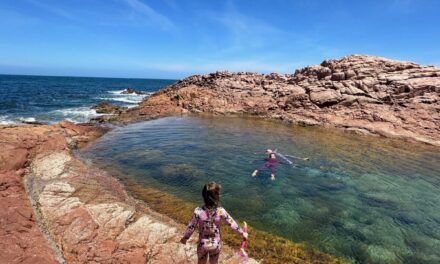 Rock Pools to Explore in South Australia