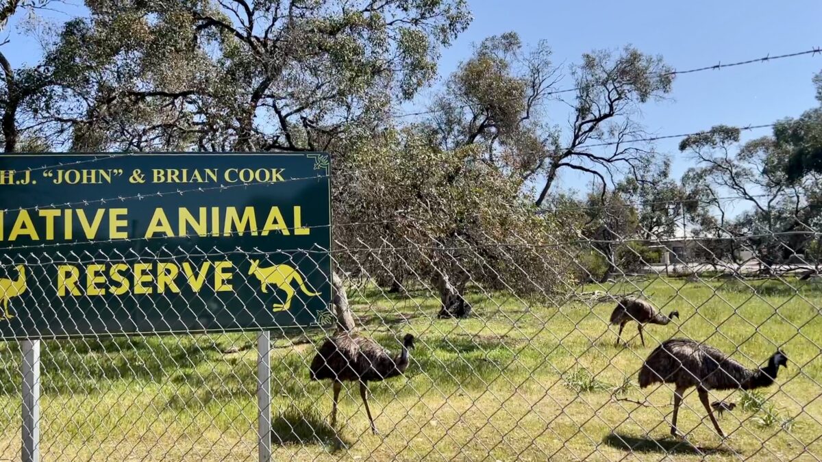 HJ & Brian Cook Native Animal Reserve, Minlaton