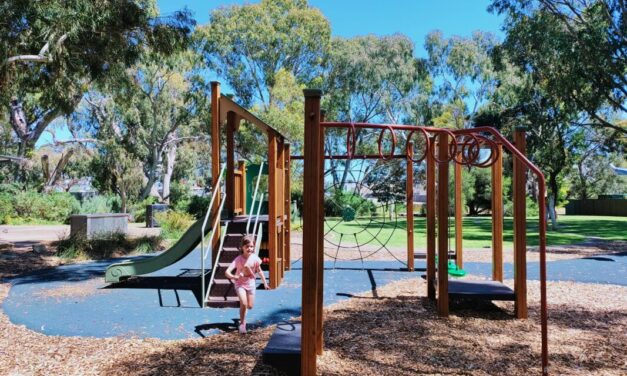 Maldon Ave Reserve Playground Mitchell Park