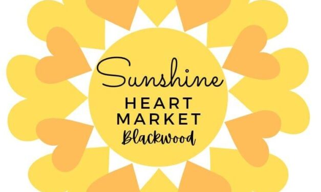 Sunshine Heart Market Blackwood