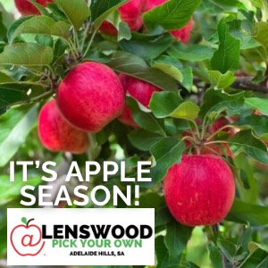 lenwood apples