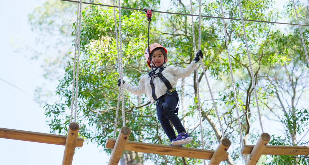 TreeClimb Kuitpo Forest