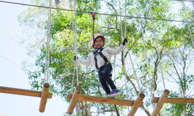 TreeClimb Kuitpo Forest