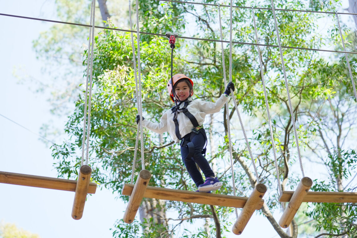 TreeClimb Kuitpo Forest