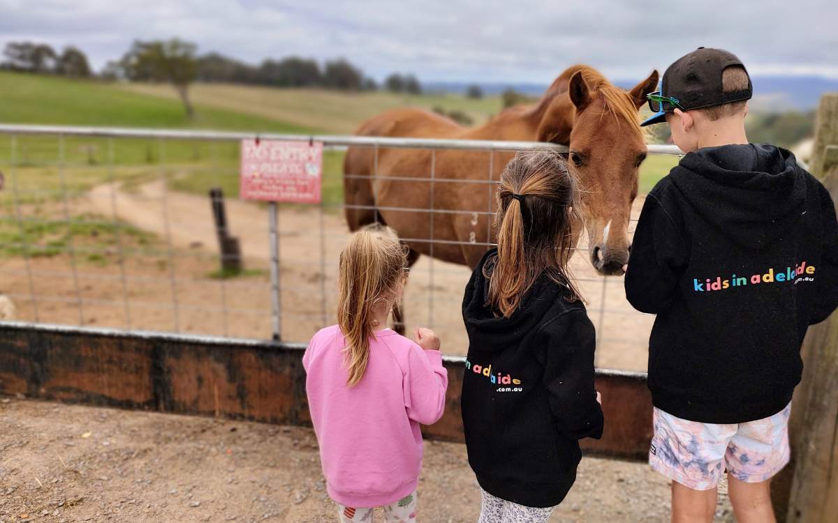 The Hahndorf Farm Barn