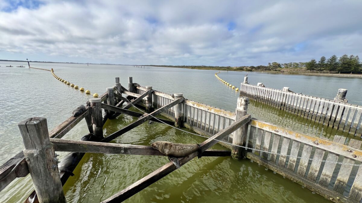 Goolwa Barrage, Fleurieu Peninsula