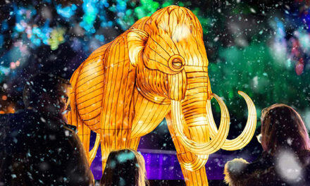 Illuminate Adelaide 2026 | What to see with your kids