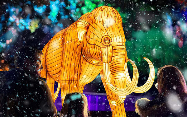 Illuminate Adelaide 2026 | What to see with your kids