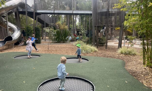 Nature’s Playground at Adelaide Zoo